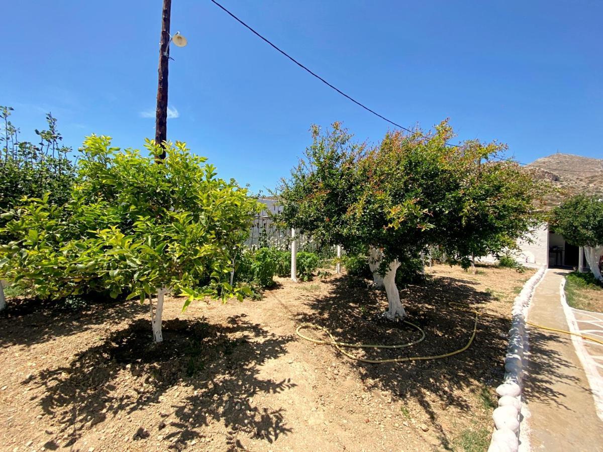 Michail Suites Afiartis Karpathos 외부 사진