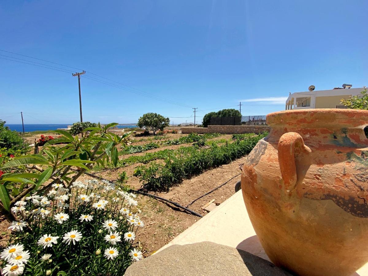 Michail Suites Afiartis Karpathos 외부 사진
